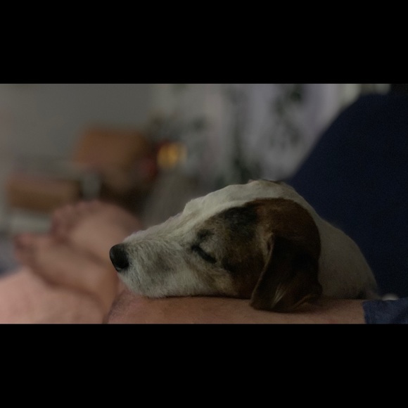 Meet your Posher, Steven - Picture 1 of 1